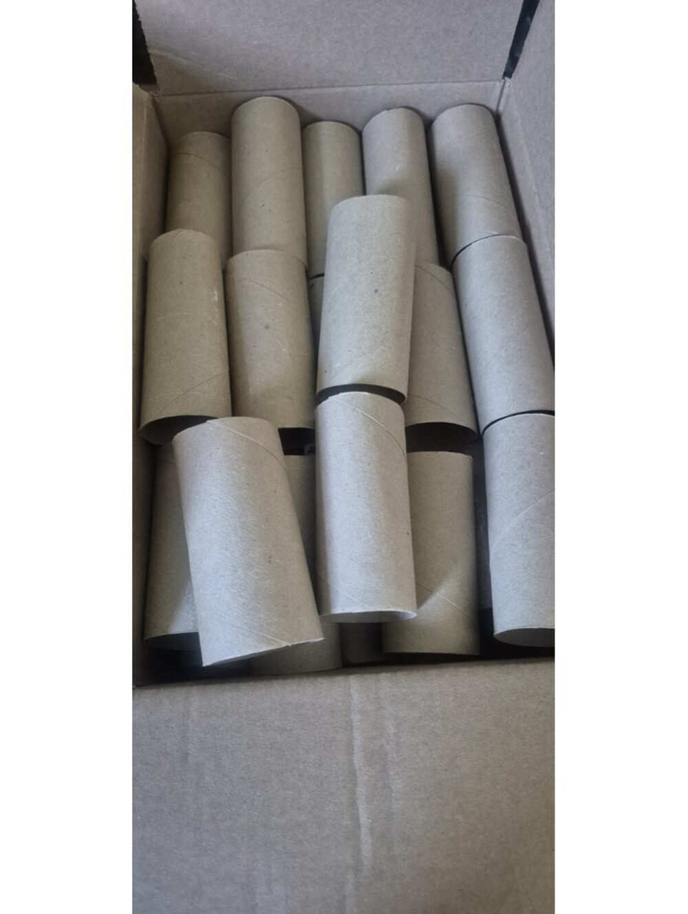60 Clean Empty Toilet Paper Rolls for Crafts Standard Size